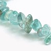 Natural Apatite Chip Beads Strands G-L154-23-2