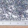 MIYUKI Round Rocailles Beads SEED-G007-RR0283-4