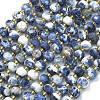 Natural Sodalite Beads Strands G-K389-E74-01A-1