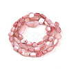 Natural White Shell Beads Strands SHEL-N036-21G-2