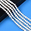 Natural Cultured Freshwater Pearl Beads Strands PEAR-N014-07B-6