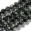 Natural Seraphinite Beads Strands G-E557-22B-1