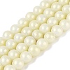 Baking Paint Glass Pearl Beads Strands DGLA-ZX001-05B-04-1