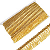 Polyester Tassel Lace Ribbons DIY-WH0530-70B-1