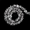 Natural Quartz Crystal Beads Strands G-H085-A01-01-3