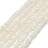Natural Cultured Freshwater Pearl Beads Strands PEAR-A005-18-1