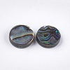Abalone Shell/Paua Shell Beads SSHEL-T008-06A-2