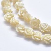Shell Bead Strands SSHEL-P015-01B-12mm-3