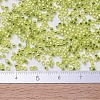 MIYUKI Delica Beads Small SEED-X0054-DBS0147-4