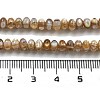 Natural Freshwater Shell Beads Strands BSHE-G038-05-5