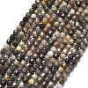 Natural Larvikite Beads Strands G-A260-A23-01-2