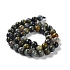 Natural Hawk's Eye Beads Strands G-E483-20-8mm-AB-3