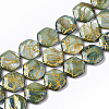 Drawbench Freshwater Shell Beads Strands X-SHEL-T014-013E-1
