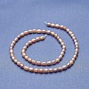 Natural Cultured Freshwater Pearl Beads Strands PEAR-P060-06A-2
