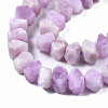 Natural Kunzite Beads Strands G-S376-008-3