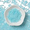 Glass Seed Beads SEED-H002-E-A1411-2