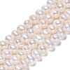 Natural Cultured Freshwater Pearl Beads Strands PEAR-N013-04C-2