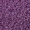 MIYUKI Round Rocailles Beads X-SEED-G007-RR0316-3