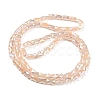 AB Color Plated Glass Beads Strands EGLA-P051-06B-B08-2