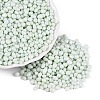 Opaque Glass Seed Beads GLAA-Q119-01-A05-1