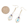 Handmade Glass Seed Beads Teardrop Dangle Earrings EJEW-MZ00576-04-4