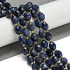 Natural Sodalite Beads Strands G-N342-37-2