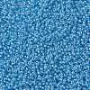 MIYUKI Round Rocailles Beads SEED-X0055-RR0221-3