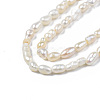 Natural Cultured Freshwater Pearl Beads Strands PEAR-N012-02F-4