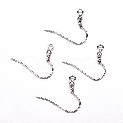 Tarnish Resistant 304 Stainless Steel Earring Hooks STAS-F117-23P-1
