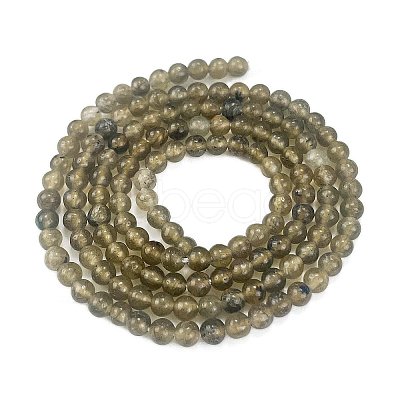 Natural Labradorite Beads Strands G-M438-A01-01-1