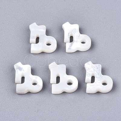 Natural White Shell Beads SSHEL-ZX004-02K-1