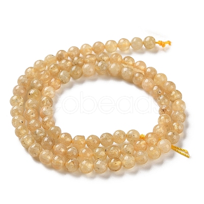 Natural Yellow Garnet Beads Strands G-Z129-C01-4mm-01-1