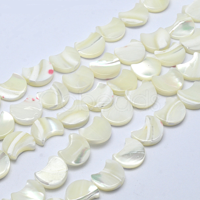 Natural White Shell Beads Strands X-SSHEL-12X11-1