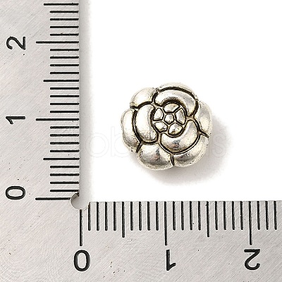 Tibetan Style Alloy Beads TIBEB-L007-06AS-02-1