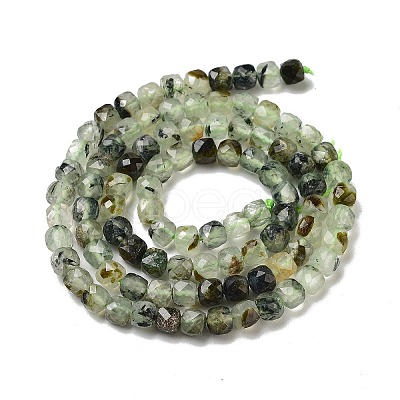 Natural Prehnite Beads Strands G-B088-E16-04-1