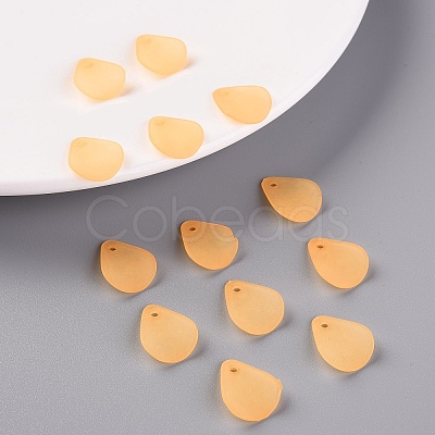 Transparent Frosted Acrylic Pendants MACR-S371-09A-719-1