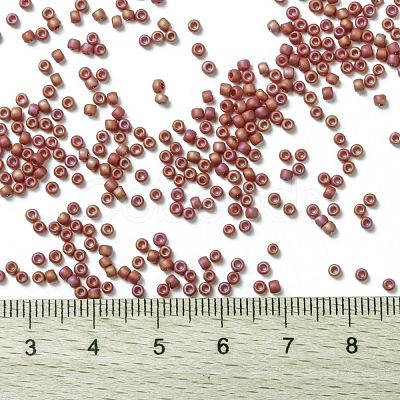 TOHO Round Seed Beads SEED-JPTR11-0768-1