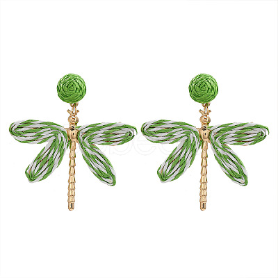 Alloy & Raffia Dangle Stud Earrings FS-WGCB008-07-1