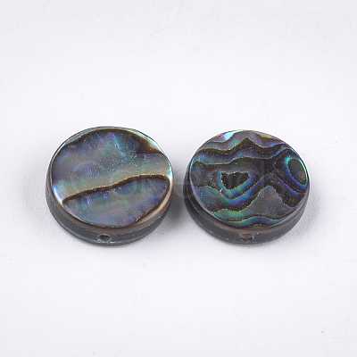 Abalone Shell/Paua Shell Beads SSHEL-T008-06A-1