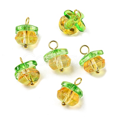Handmade Lampwork Charms LAMP-D019-01B-1