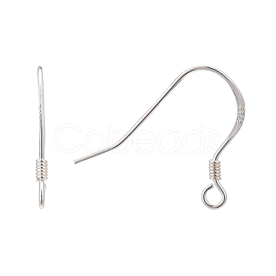 925 Sterling Silver Earring Hooks STER-K167-049C-S-1