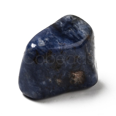 Natural Sodalite Beads G-O029-08P-1