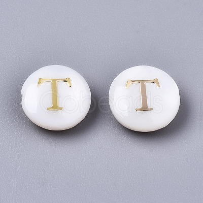 Natural Freshwater Shell Beads SHEL-S266-12T-1