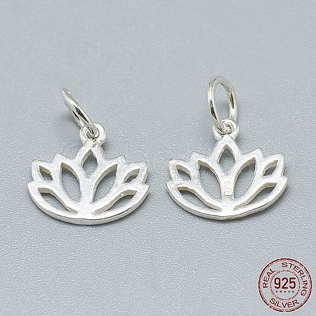 925 Sterling Silver Charms X-STER-T002-277S-1
