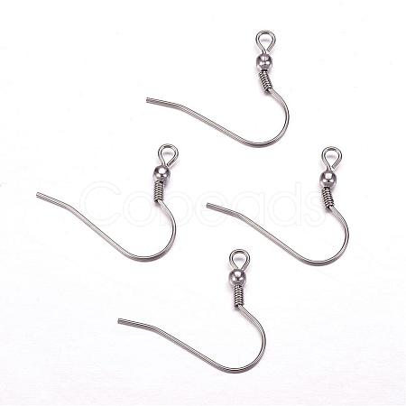 Tarnish Resistant 304 Stainless Steel Earring Hooks STAS-F117-23P-1