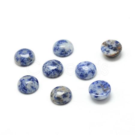 Natural Blue Spot Jasper Cabochons G-T020-10mm-03-1