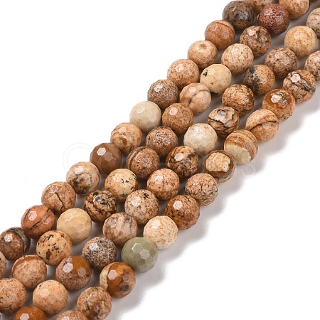 Natural Picture Jasper Beads Strands G-E571-28A-1