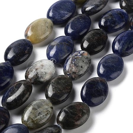 Natural Sodalite Beads Strands G-L164-A-20-1