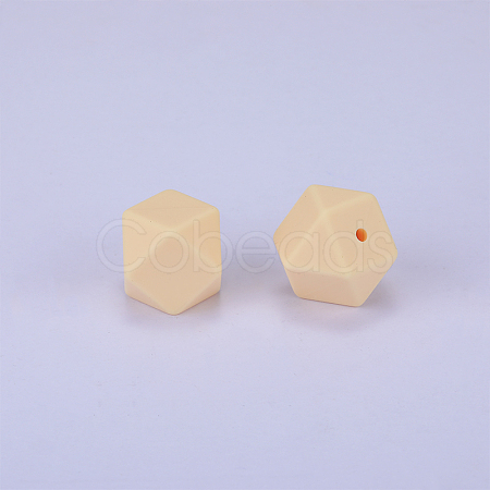 Hexagonal Silicone Focal Beads LS-SI-JX0020A-20-1