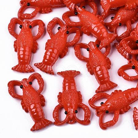 Resin Pendants X-RESI-R426-01-1